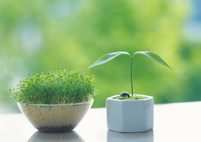 ���a�A�s����Q�A�F�m�ǂȂǐ��_�Ȑf�Â��s���Ă��܂��B